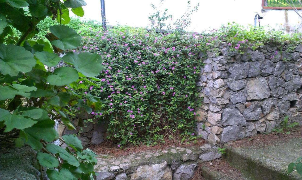 Villa Gianni パレルモ エクステリア 写真