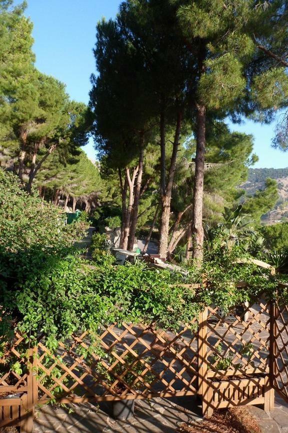 Villa Gianni パレルモ エクステリア 写真
